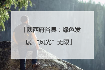 陕西府谷县：绿色发展 “风光”无限
