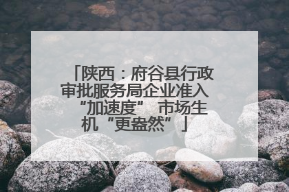 陕西：府谷县行政审批服务局企业准入“加速度” 市场生机“更盎然”