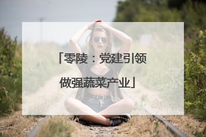 零陵：党建引领 做强蔬菜产业