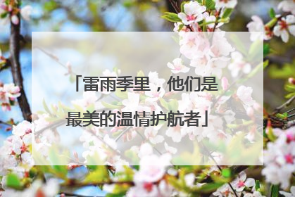 雷雨季里，他们是最美的温情护航者