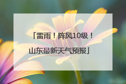 雷雨！阵风10级！山东最新天气预报