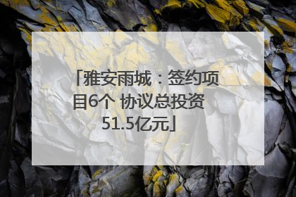雅安雨城：签约项目6个 协议总投资51.5亿元