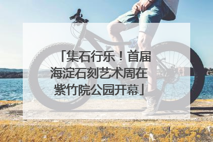 集石行乐！首届海淀石刻艺术周在紫竹院公园开幕