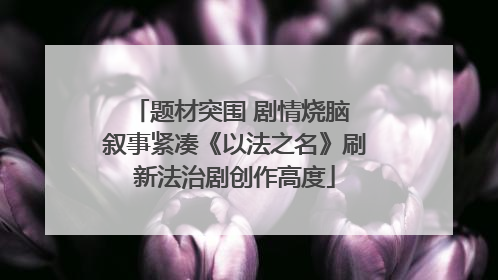 题材突围 剧情烧脑 叙事紧凑《以法之名》刷新法治剧创作高度