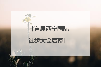 首届西宁国际徒步大会启幕