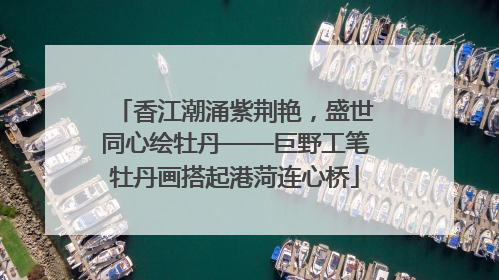 香江潮涌紫荆艳，盛世同心绘牡丹——巨野工笔牡丹画搭起港菏连心桥