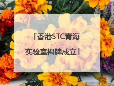 香港STC青海实验室揭牌成立