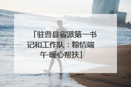 驻曹县省派第一书记和工作队：粽情端午·暖心帮扶