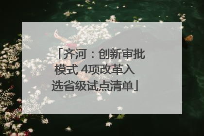 齐河：创新审批模式 4项改革入选省级试点清单