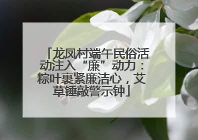 龙凤村端午民俗活动注入“廉”动力：粽叶裹紧廉洁心，艾草锤敲警示钟