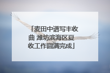 麦田中谱写丰收曲 潍坊滨海区夏收工作圆满完成