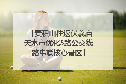 麦积山往返伏羲庙 天水市优化5路公交线路串联核心景区