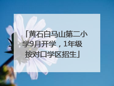 黄石白马山第二小学9月开学，1年级按对口学区招生