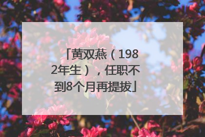 黄双燕（1982年生），任职不到8个月再提拔