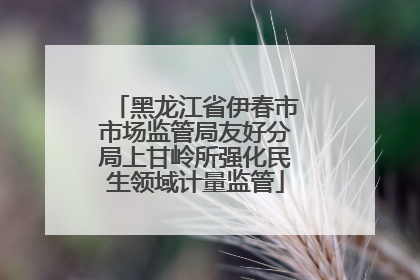 黑龙江省伊春市市场监管局友好分局上甘岭所强化民生领域计量监管