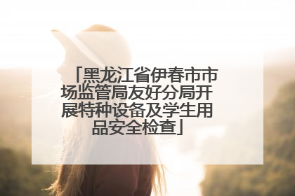 黑龙江省伊春市市场监管局友好分局开展特种设备及学生用品安全检查