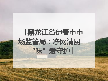 黑龙江省伊春市市场监管局：净网清厨 “味”爱守护