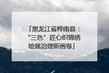 黑龙江省桦南县：“三色”匠心织锦绣 绘就治理新画卷