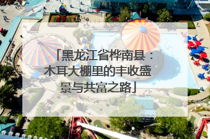 黑龙江省桦南县：木耳大棚里的丰收盛景与共富之路