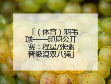 （体育）羽毛球——印尼公开赛：程星/张驰晋级混双八强