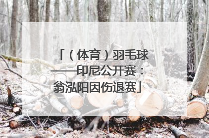 （体育）羽毛球——印尼公开赛：翁泓阳因伤退赛