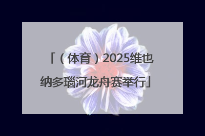 （体育）2025维也纳多瑙河龙舟赛举行