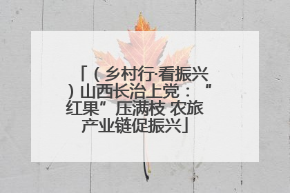 （乡村行·看振兴）山西长治上党：“红果”压满枝 农旅产业链促振兴