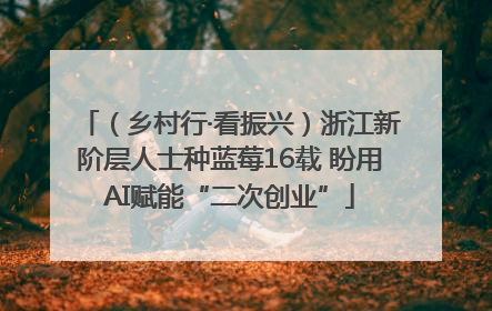 （乡村行·看振兴）浙江新阶层人士种蓝莓16载 盼用AI赋能“二次创业”