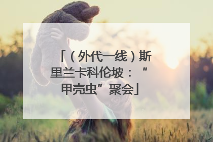 （外代一线）斯里兰卡科伦坡：“甲壳虫”聚会