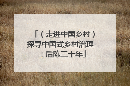 （走进中国乡村）探寻中国式乡村治理：后陈二十年