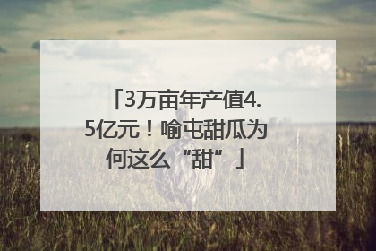 3万亩年产值4.5亿元！喻屯甜瓜为何这么“甜”