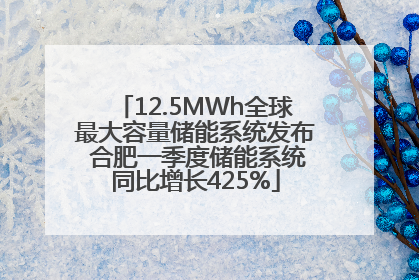 12.5MWh全球最大容量储能系统发布 合肥一季度储能系统同比增长425%