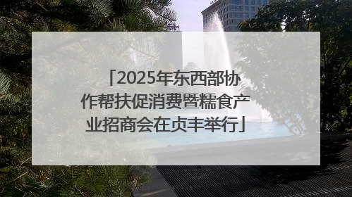 2025年东西部协作帮扶促消费暨糯食产业招商会在贞丰举行