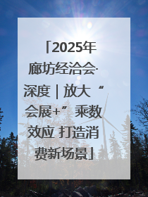 2025年廊坊经洽会·深度｜放大“会展+”乘数效应 打造消费新场景