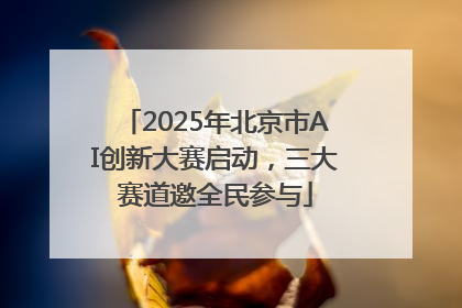 2025年北京市AI创新大赛启动，三大赛道邀全民参与
