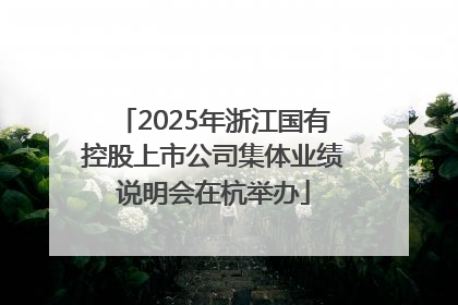 2025年浙江国有控股上市公司集体业绩说明会在杭举办
