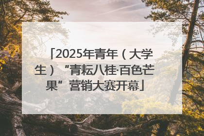 2025年青年（大学生）“青耘八桂·百色芒果”营销大赛开幕