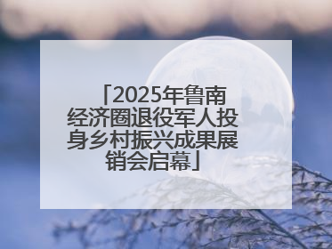 2025年鲁南经济圈退役军人投身乡村振兴成果展销会启幕