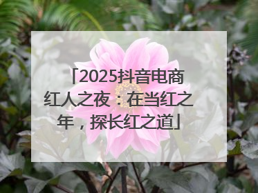 2025抖音电商红人之夜：在当红之年，探长红之道