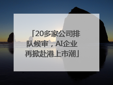 20多家公司排队候审，AI企业再掀赴港上市潮