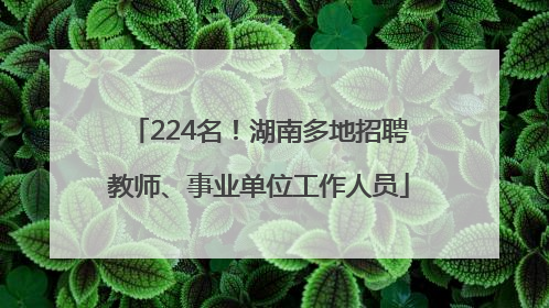 224名！湖南多地招聘教师、事业单位工作人员