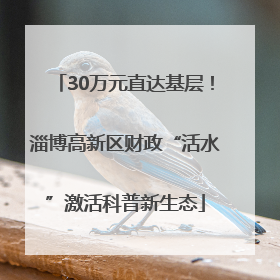 30万元直达基层！淄博高新区财政“活水”激活科普新生态