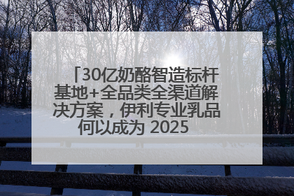 30亿奶酪智造标杆基地+全品类全渠道解决方案，伊利专业乳品何以成为 2025 焙烤展 MV