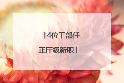 4位干部任正厅级新职
