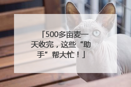 500多亩麦一天收完，这些“助手”帮大忙！