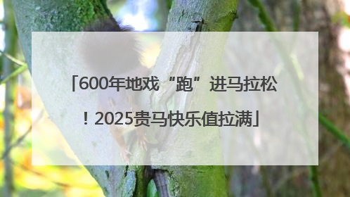 600年地戏“跑”进马拉松！2025贵马快乐值拉满