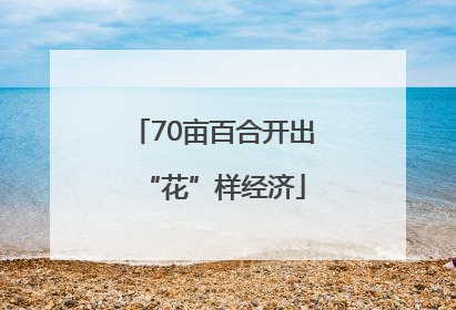 70亩百合开出“花”样经济