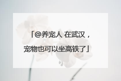 @养宠人 在武汉，宠物也可以坐高铁了