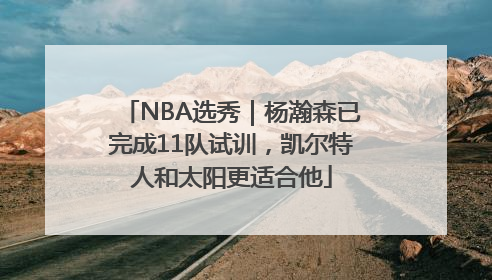 NBA选秀｜杨瀚森已完成11队试训，凯尔特人和太阳更适合他